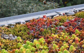 the cost of High Water Head green roof installation