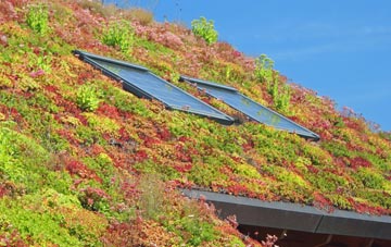 High Water Head living roof systems